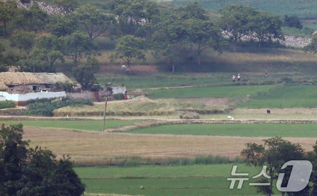 북한, 휴전선 따라 장벽 구축 중…남북관계 단절에 '주력'