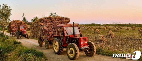 [북한 경제산업 단신] 전국 낟알털기 마감단계 등