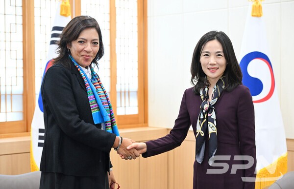 외교2차관, 유엔北인권보고관 면담..."북한 관여 노력" 당부